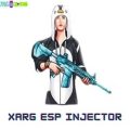 xarg esp injector icon
